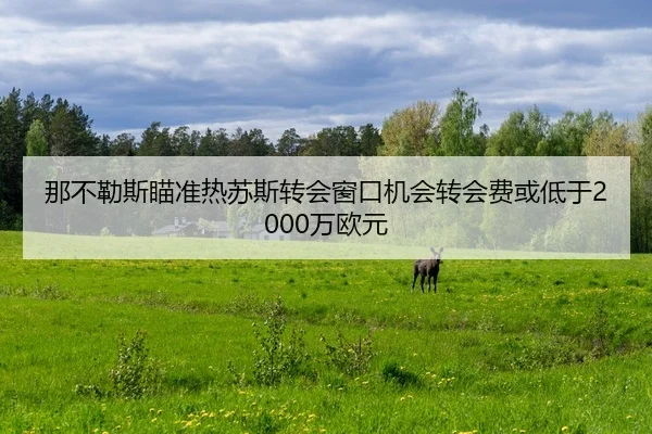 那不勒斯瞄准热苏斯转会窗口机会转会费或低于2000万欧元